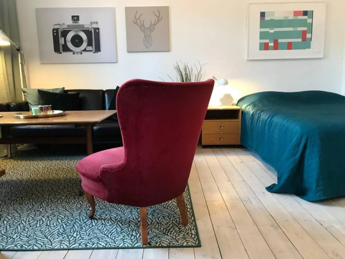 Image 1 of Bohemian and light one room apartment in SoFo 31sqm